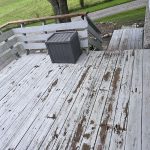 IMG_3250